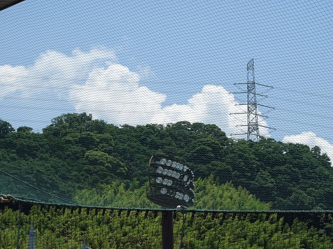 e0360409_20495751.jpg