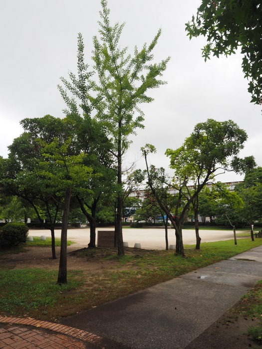 c0116915_1253313.jpg
