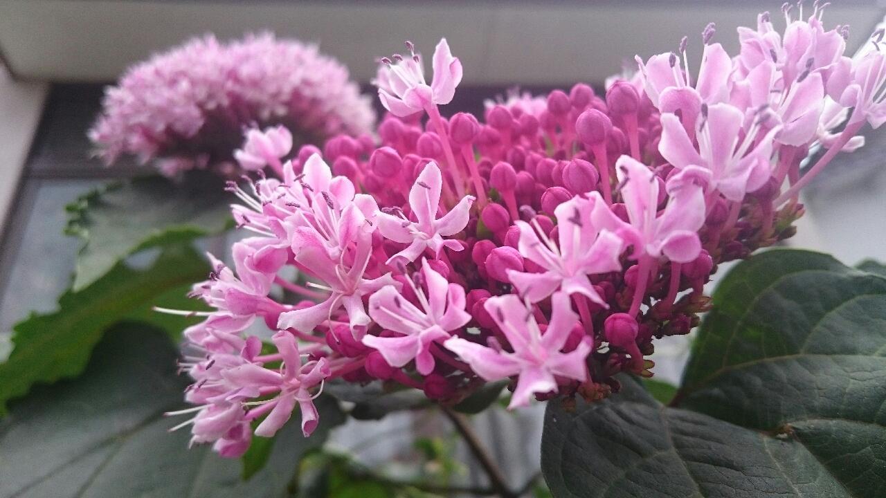 e0350415_00082927.jpg