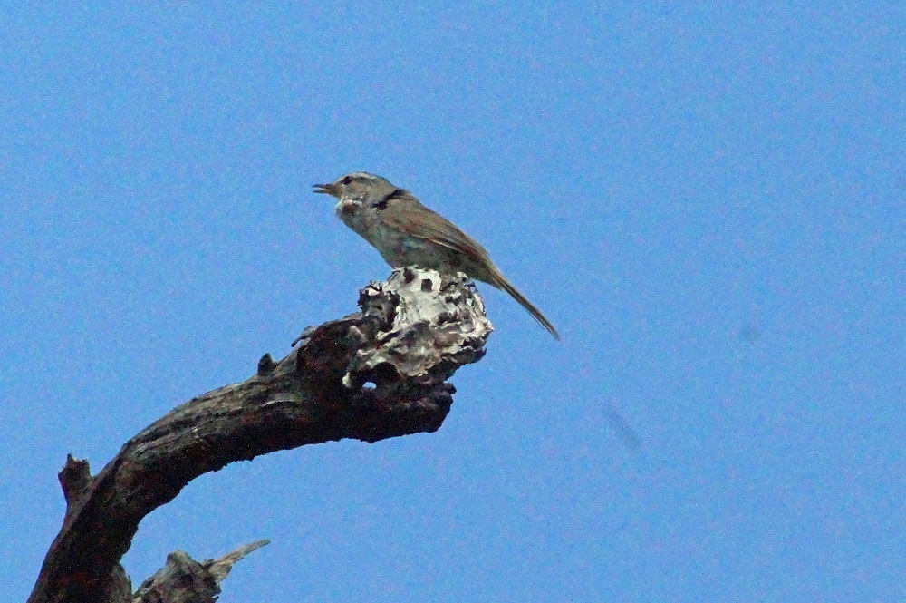 c0042418_07472646.jpg