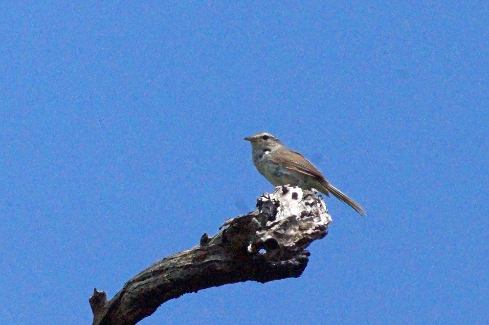 c0042418_07473561.jpg