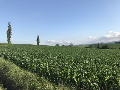 c0227720_22561890.jpg