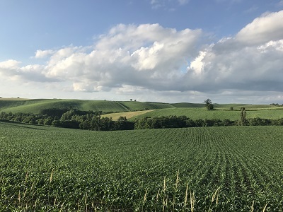 c0227720_22563654.jpg