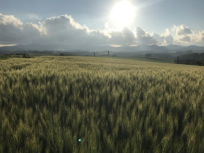 c0227720_23042899.jpg