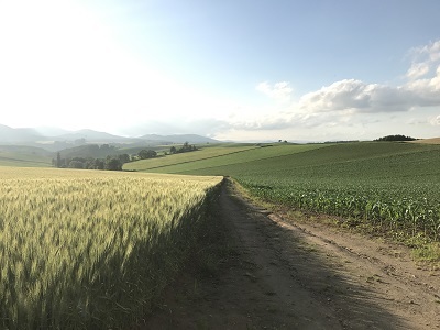 c0227720_23065550.jpg
