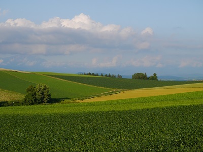 c0227720_23073204.jpg