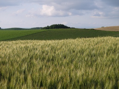 c0227720_23090344.jpg