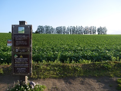 c0227720_23105794.jpg