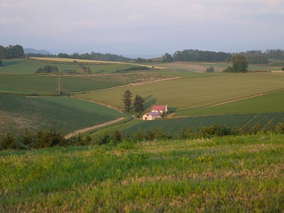 c0227720_23140584.jpg