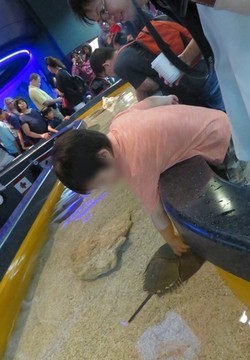 c0013922_20173018.jpg