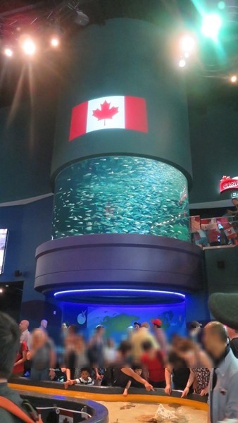 c0013922_20220667.jpg