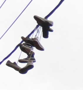 c0013922_20275031.jpg