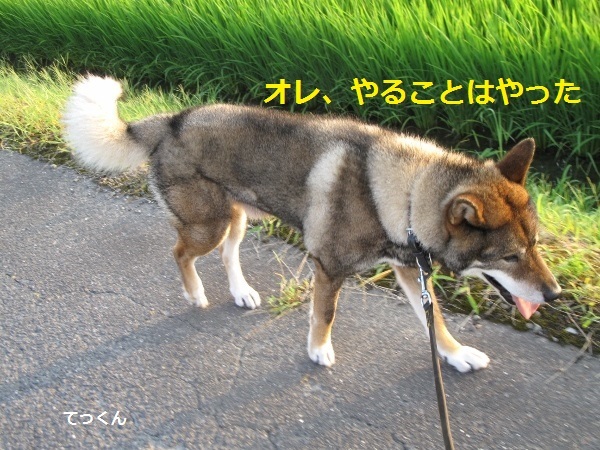 f0143123_09113241.jpg