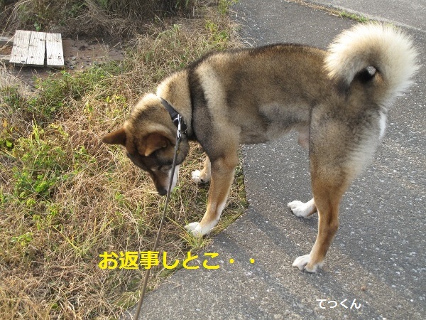 f0143123_09261364.jpg