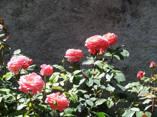 a0248728_08590139.jpg