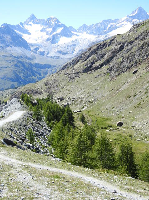 a0248728_17241726.jpg