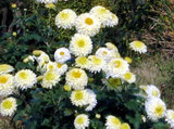 e0272335_19111365.jpg