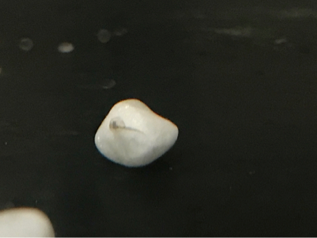 f0236736_08133210.jpg