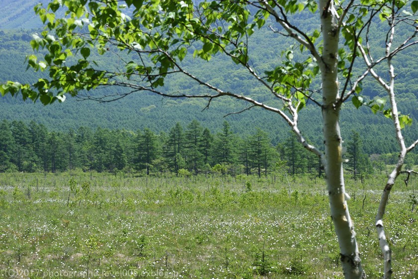 e0362037_21551336.jpg