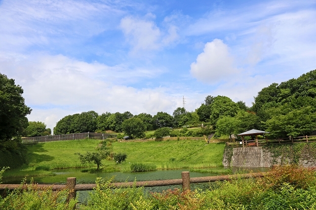 a0242438_21451668.jpg