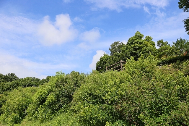 a0242438_21452878.jpg