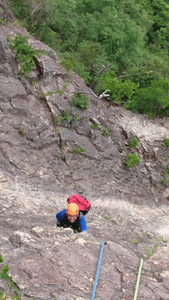 e0371039_6452867.gif