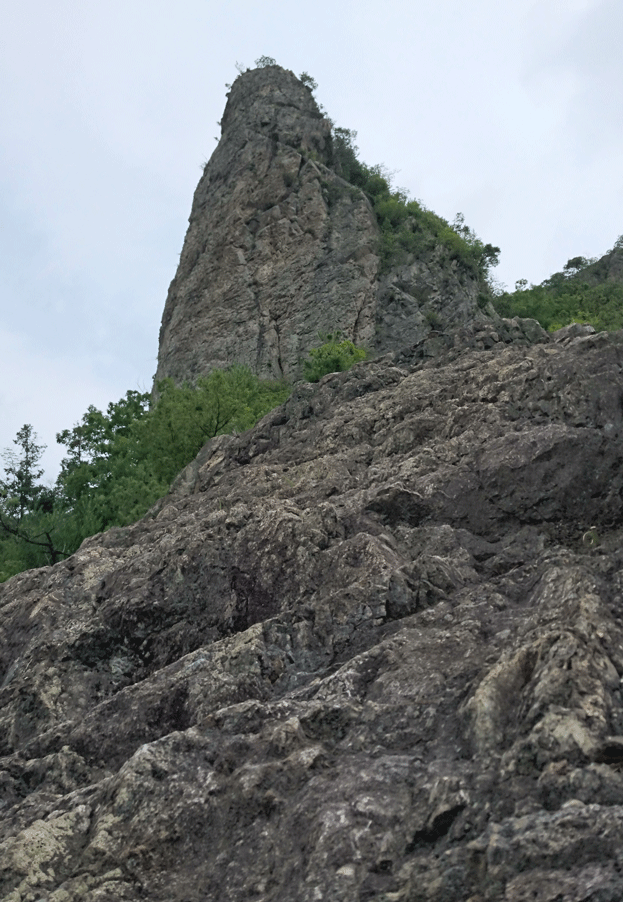 e0371039_6453998.gif