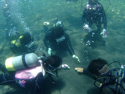 b0189640_12013233.jpg