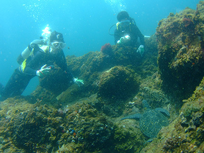 b0189640_12103100.jpg