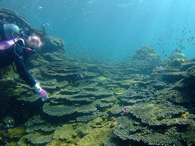 b0189640_14301782.jpg