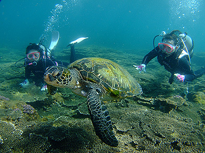 b0189640_14323109.jpg