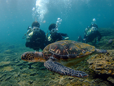 b0189640_15383839.jpg