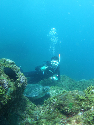 b0189640_15451390.jpg