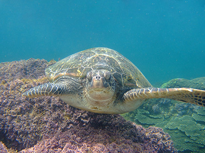 b0189640_16315704.jpg