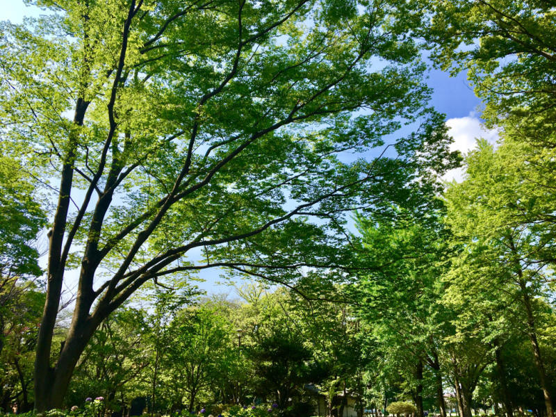 e0206242_16201288.jpg