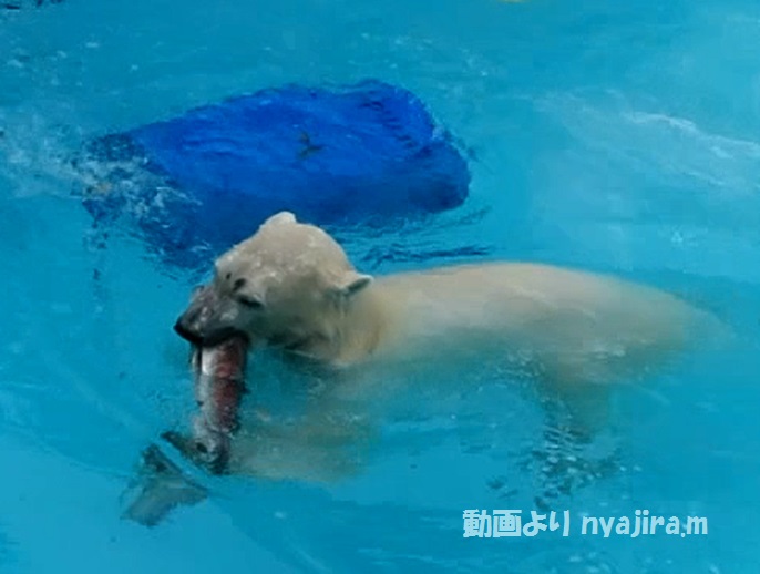 f0002743_1441548.jpg