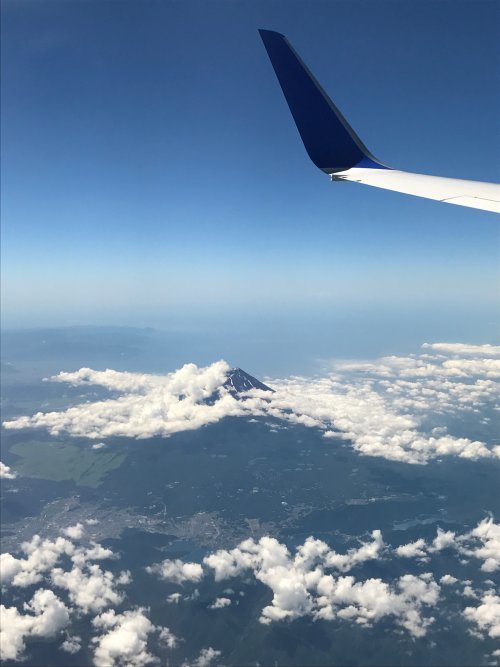 d0142944_19463683.jpg