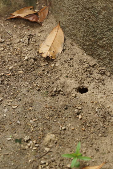 c0303246_23270701.jpg