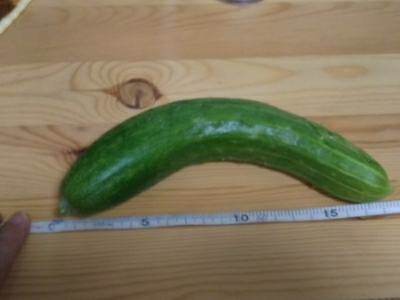 c0330749_20572483.jpg