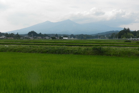 e0172950_21312921.jpg