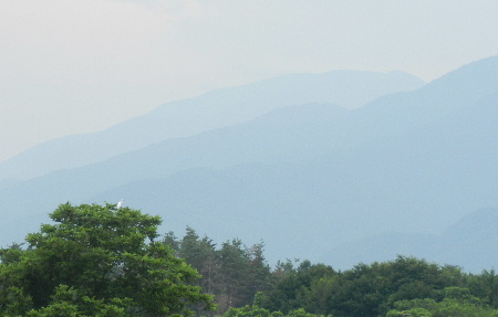 e0172950_21335411.jpg