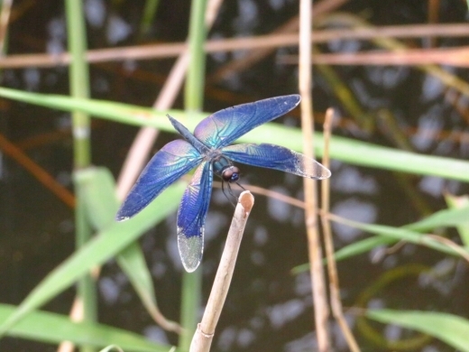 a0018655_15013096.jpg