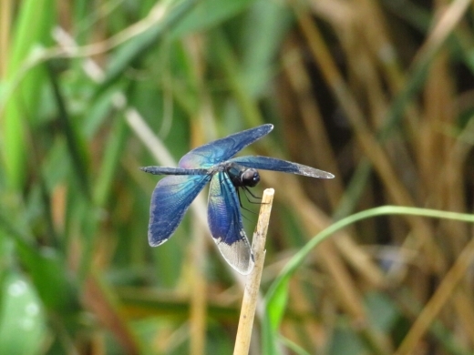 a0018655_15013525.jpg