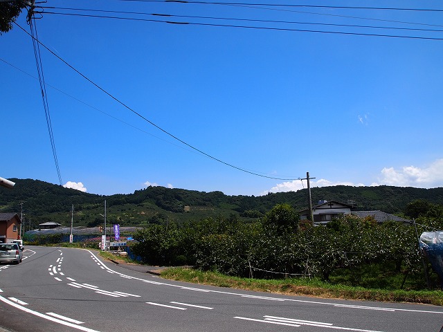 d0058658_6502725.jpg