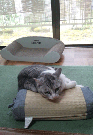 e0001558_10121056.gif