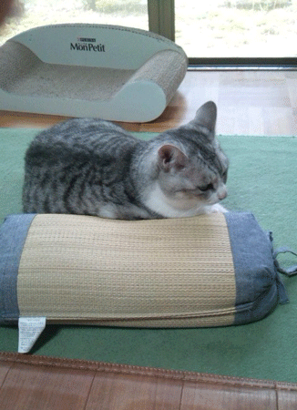 e0001558_10124379.gif