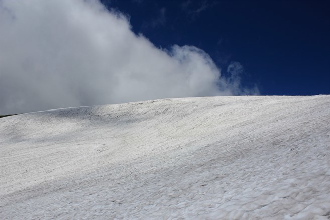 e0239458_15244908.jpg