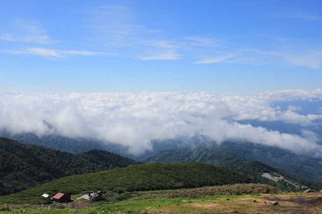 e0239458_20482745.jpg