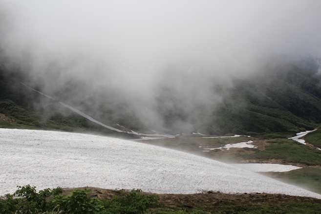 e0239458_20553331.jpg