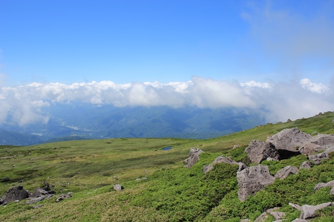 e0239458_21034138.jpg